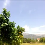 Hotel apartamentowy Michalis Place 3*